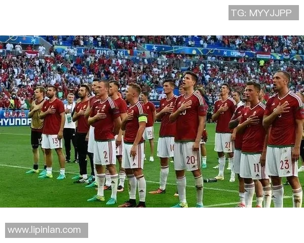 对话陈芳:回顾足球生涯的辉煌与挑战与未来展望